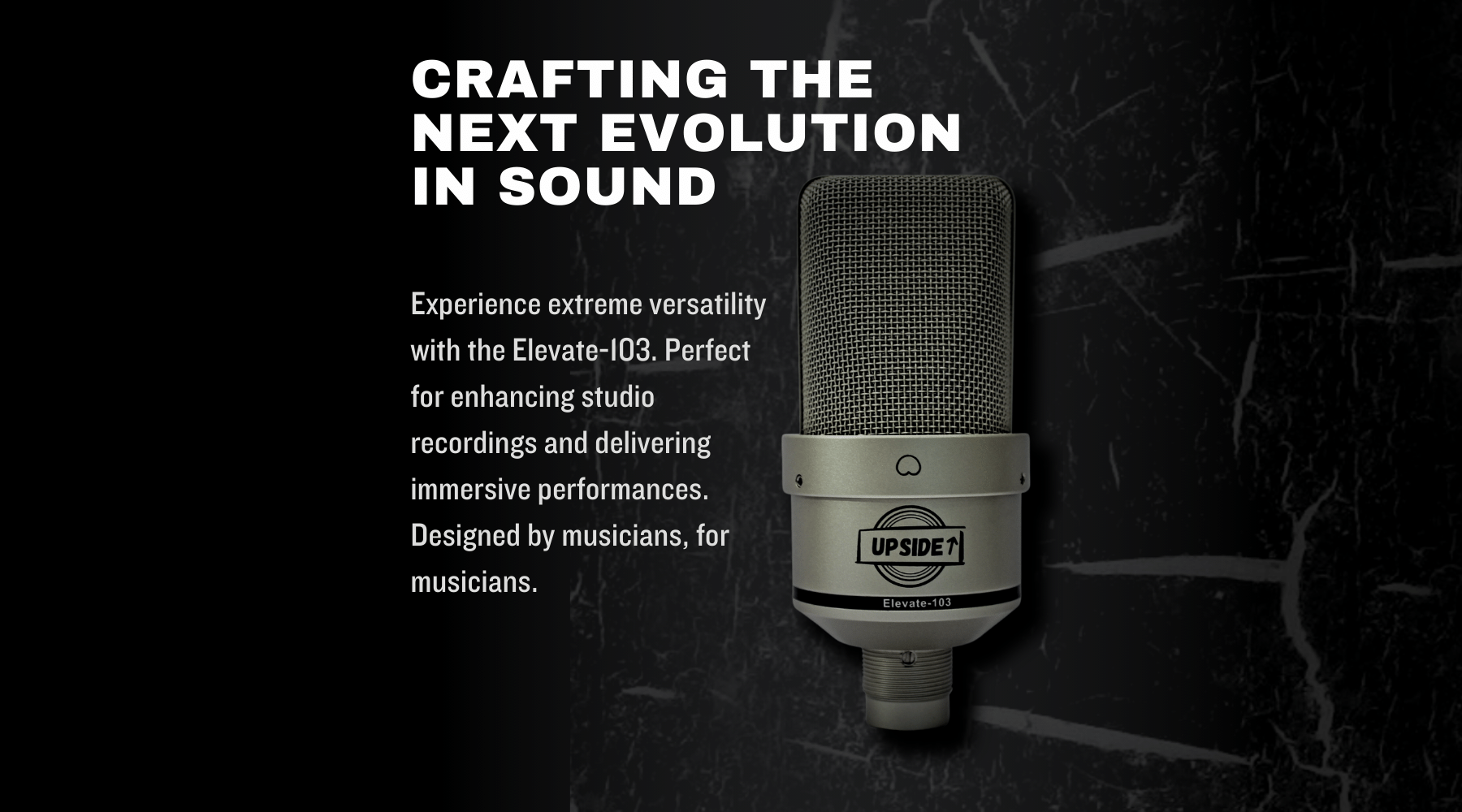 Upside Microphones homepage. Photo of a condenser recording microphone. 